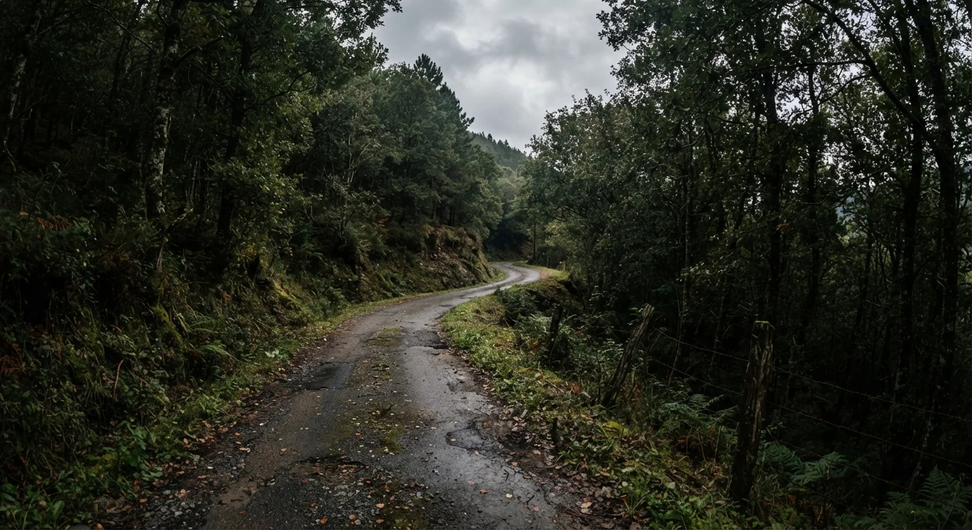 Rural Roads Are Statistically Deadlier Than Motorways — Here's Why